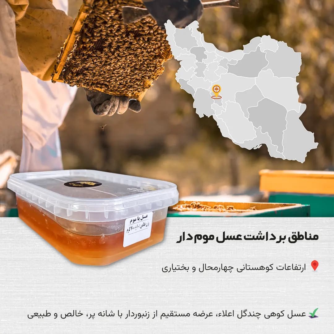 عسل موم دار فروردین | 700 گرمی — تصویر ۵