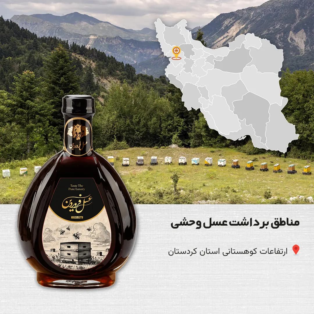 عسل کوهستان وحشی ارگانیک سفیر — تصویر ۱۱