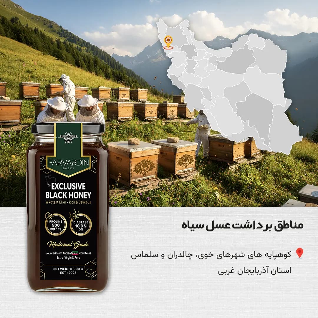 عسل سیاه فروردین | Iranian Black Honey — تصویر ۱۲