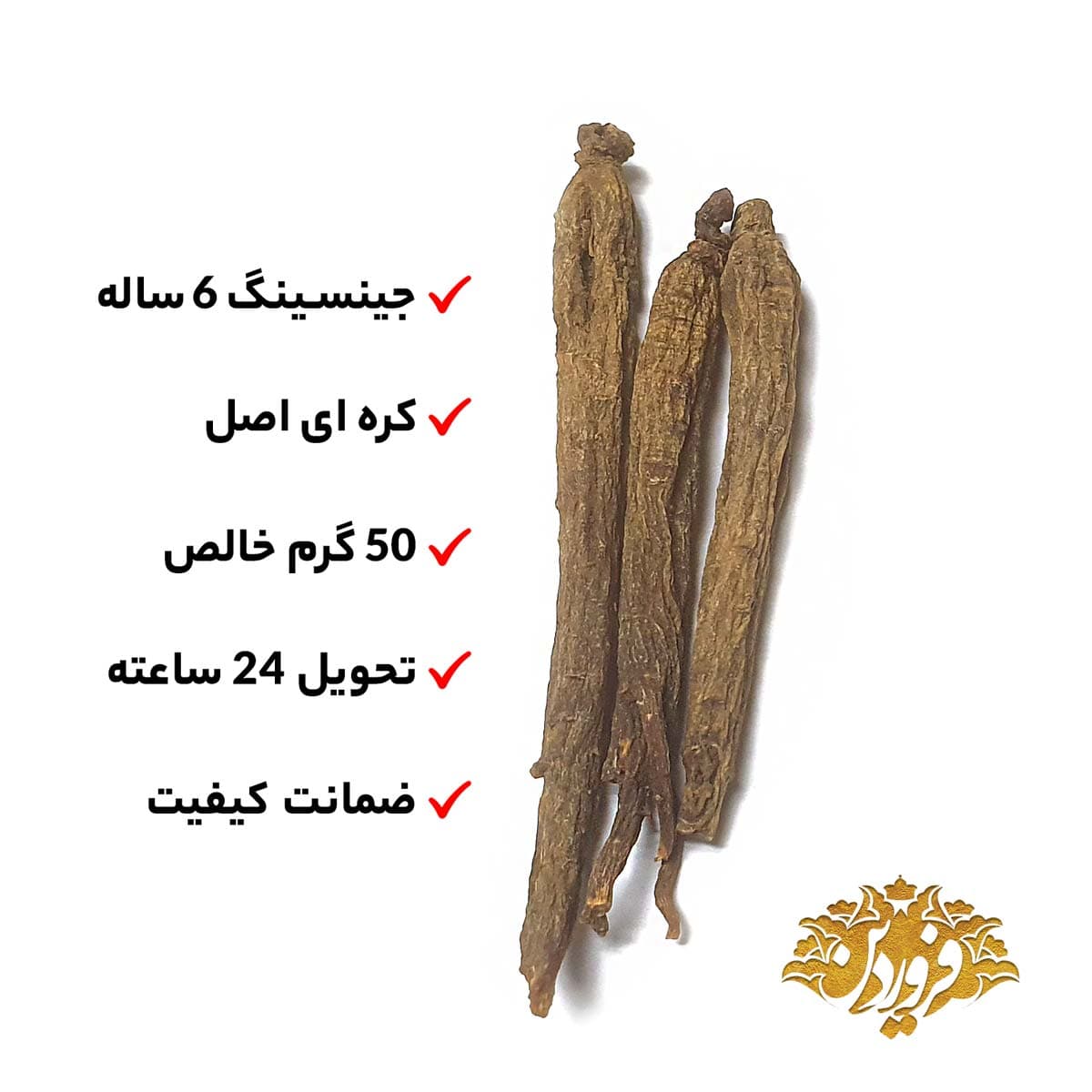 ریشه جینسینگ قرمز کره ای 6 ساله (Premium) — تصویر ۱۱