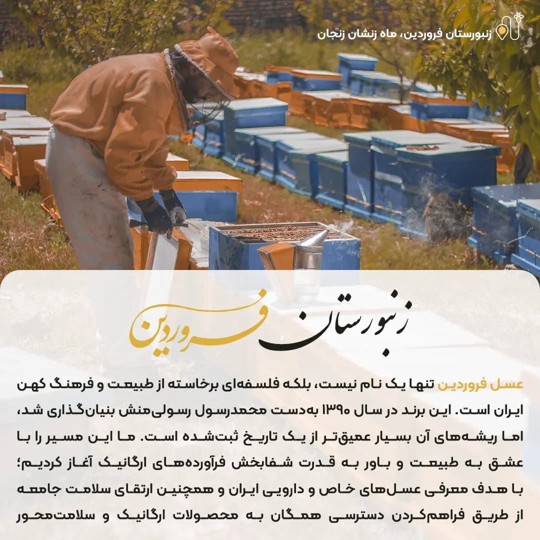 عسل زرشک فروردین — تصویر ۷