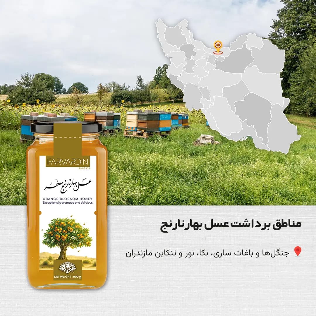 عسل بهار نارنج فروردین — تصویر ۱۱