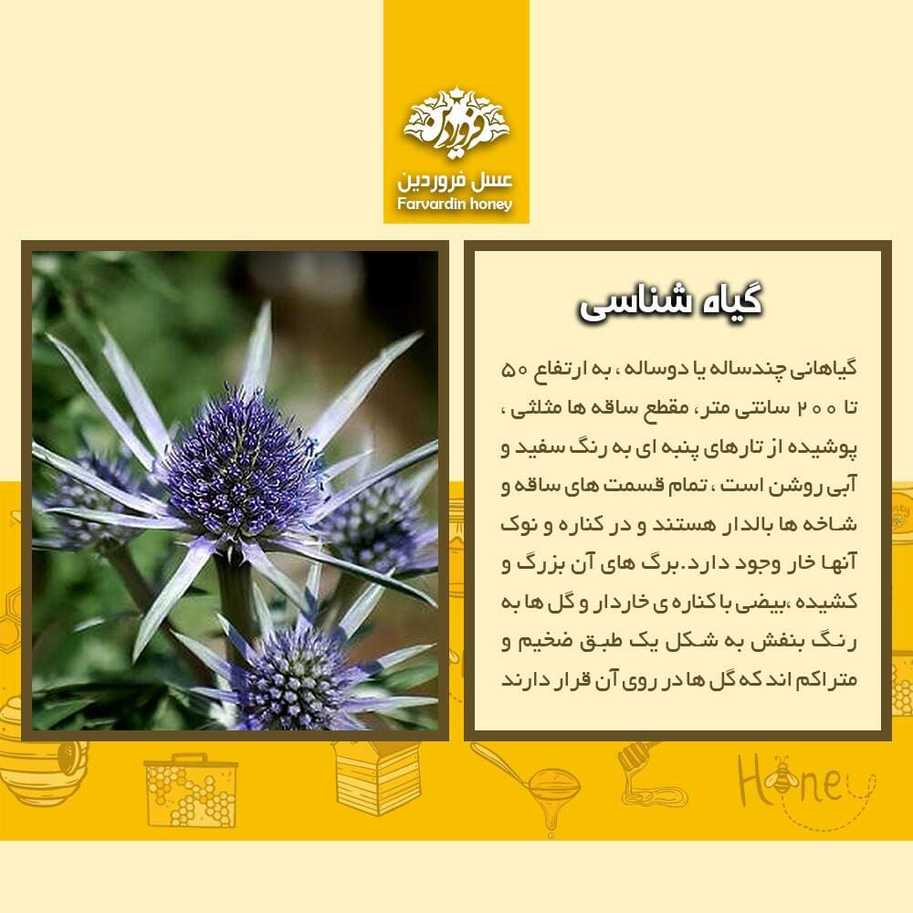 عسل زول فروردین — تصویر ۱۱