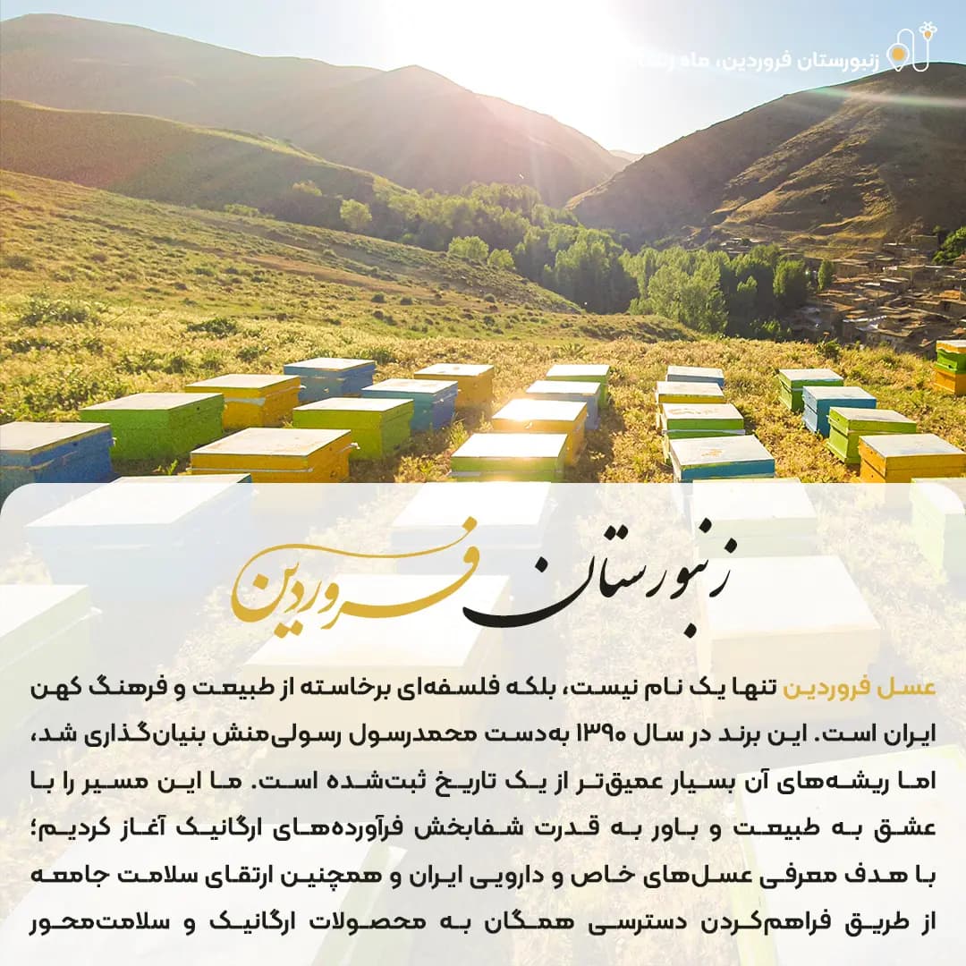 عسل آویشن فروردین — تصویر ۷