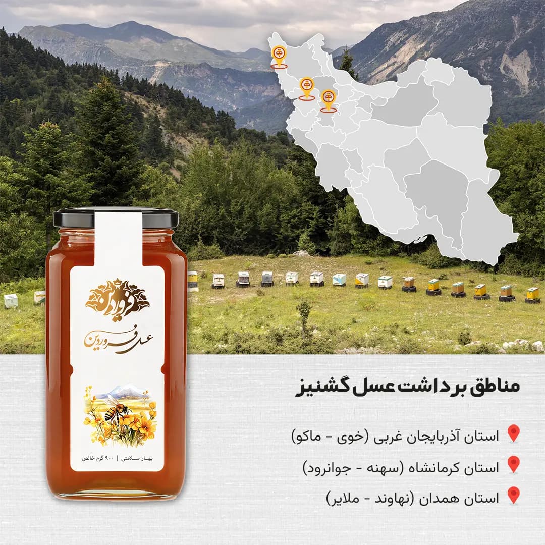 عسل گشنیز فروردین — تصویر ۴