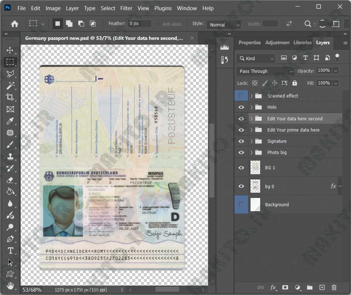 فایل لایه باز پاسپورت آلمان (Germany Passport) — تصویر ۴