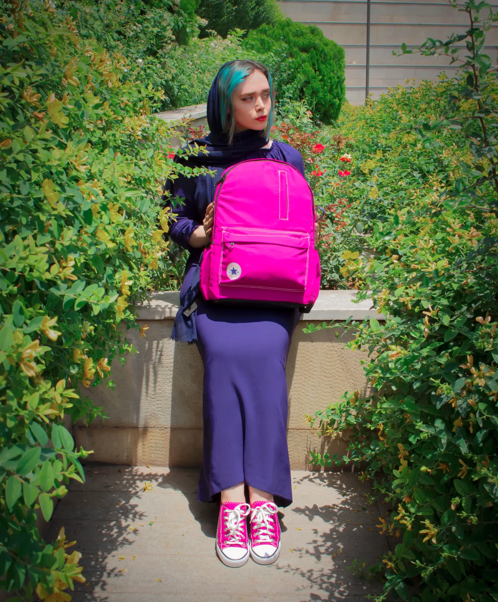 کوله پشتی سرخابی — تصویر ۳