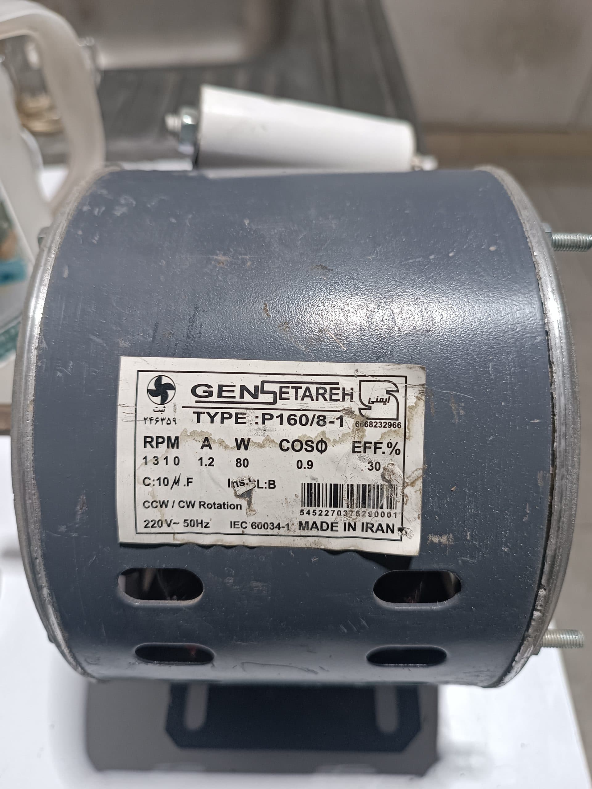 پتو شو جنرال General یا پاکشویان غرب — تصویر ۷