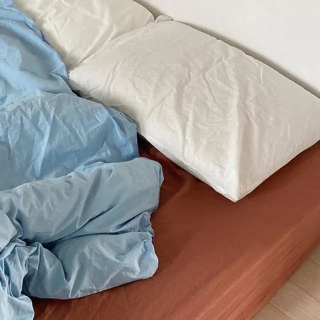 روتختی کامل پنبه دریا — تصویر ۲