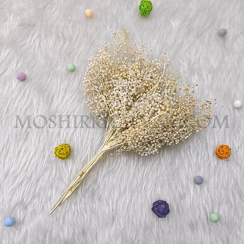 گل خشک مدل عدسی سفید — تصویر ۷