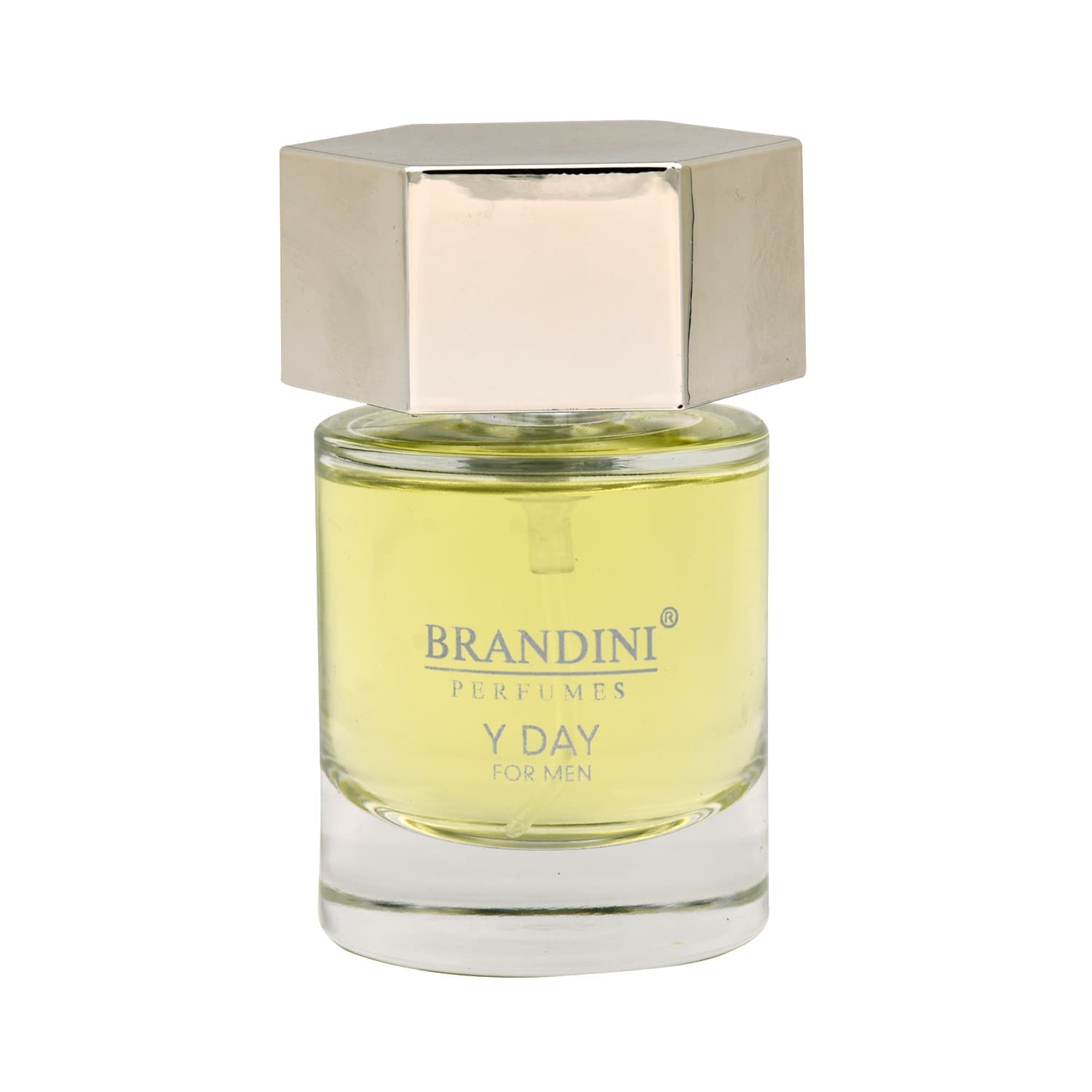 عطر ادکلن وای دی مردانه Y day men — تصویر ۲