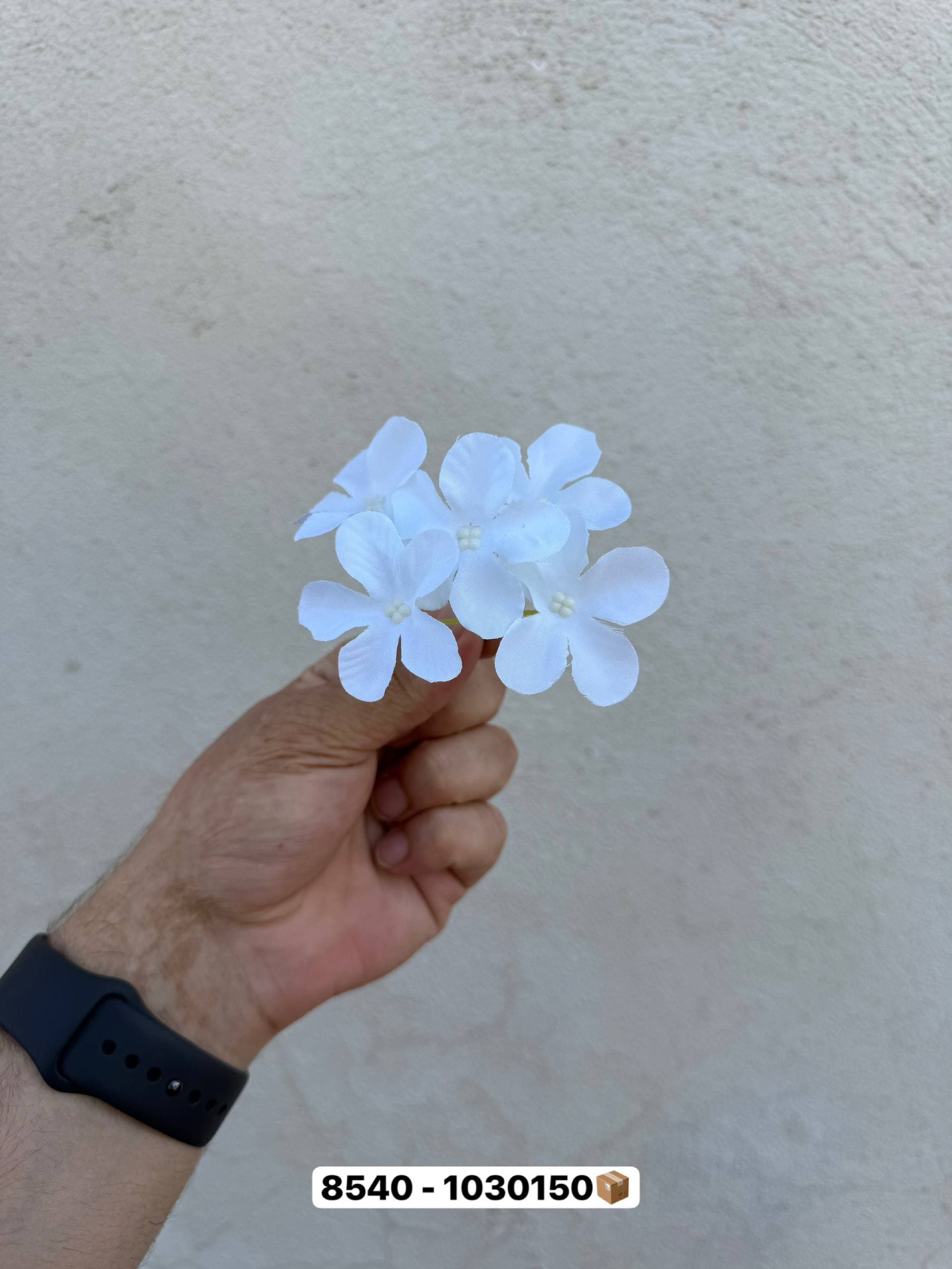 سرگل هورتانزیا مینی وارداتی(پک 50 تایی) — تصویر ۴