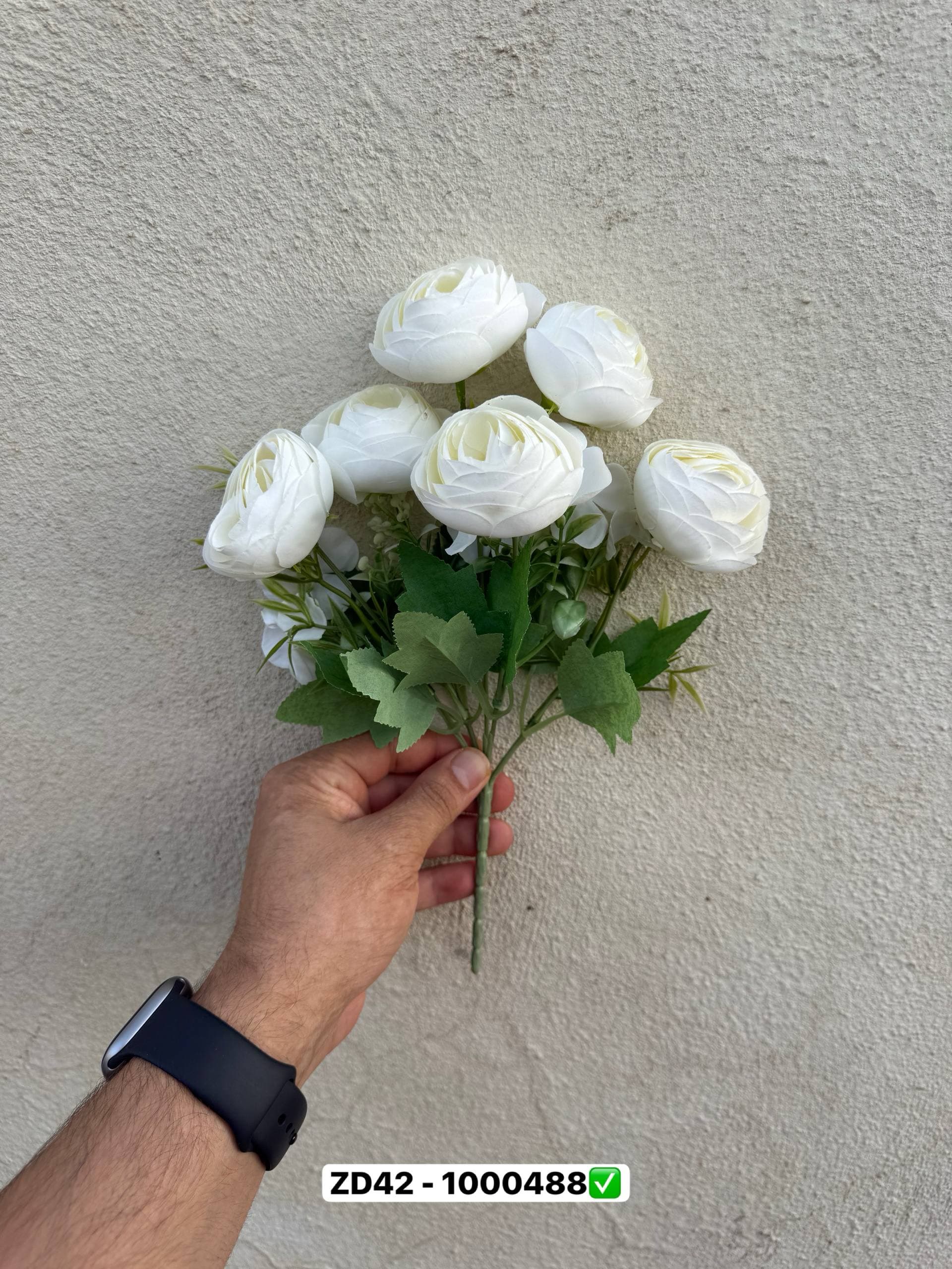 بوته آنامان 6 گل — تصویر ۲