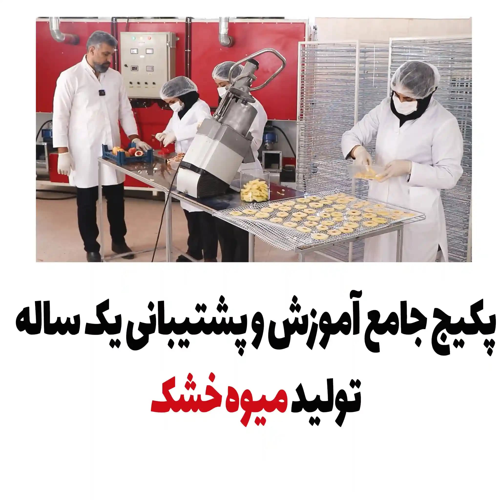 پکیج جامع آموزشی تولید میوه خشک — تصویر ۲