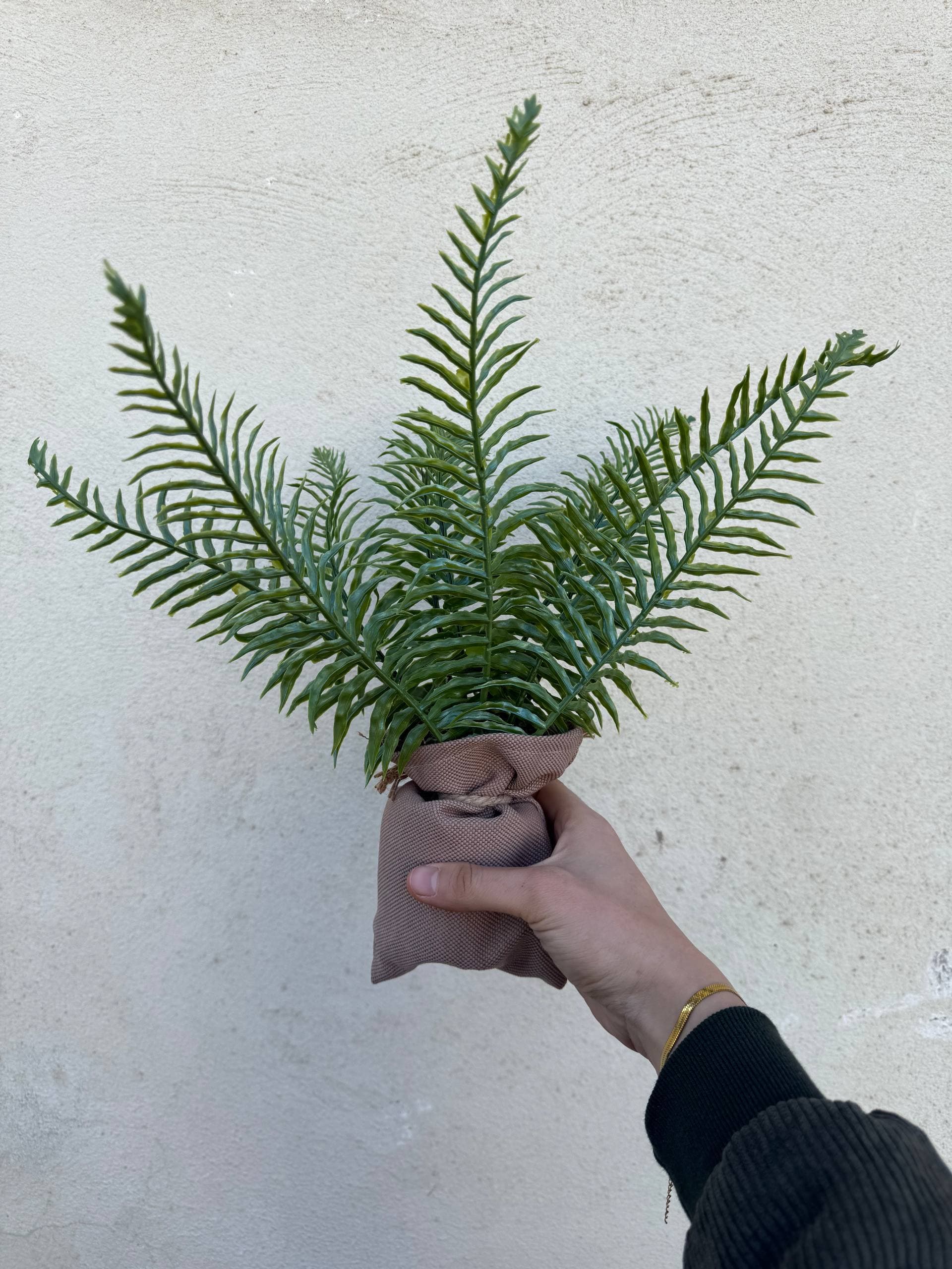 گلدونی حصیری سرخس