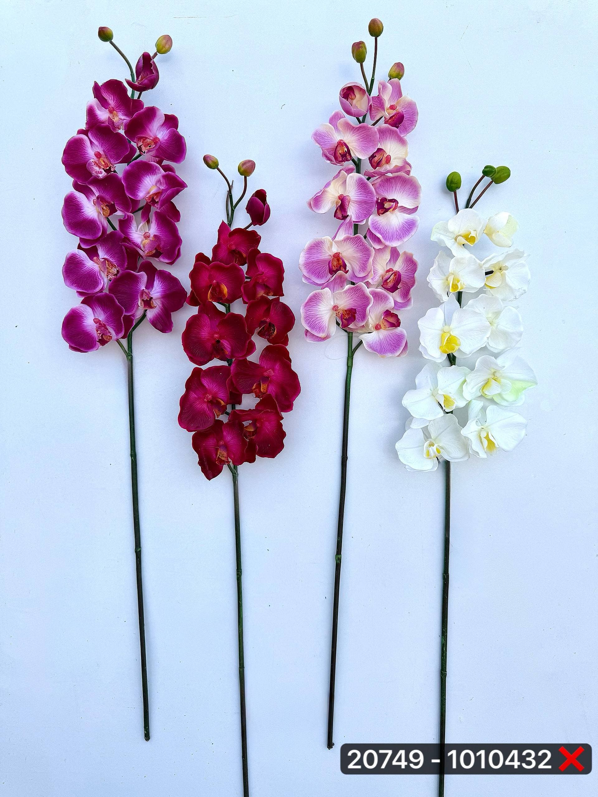 ارکیده ۱۰گل لمسی خارجی(پک 12 عددی)