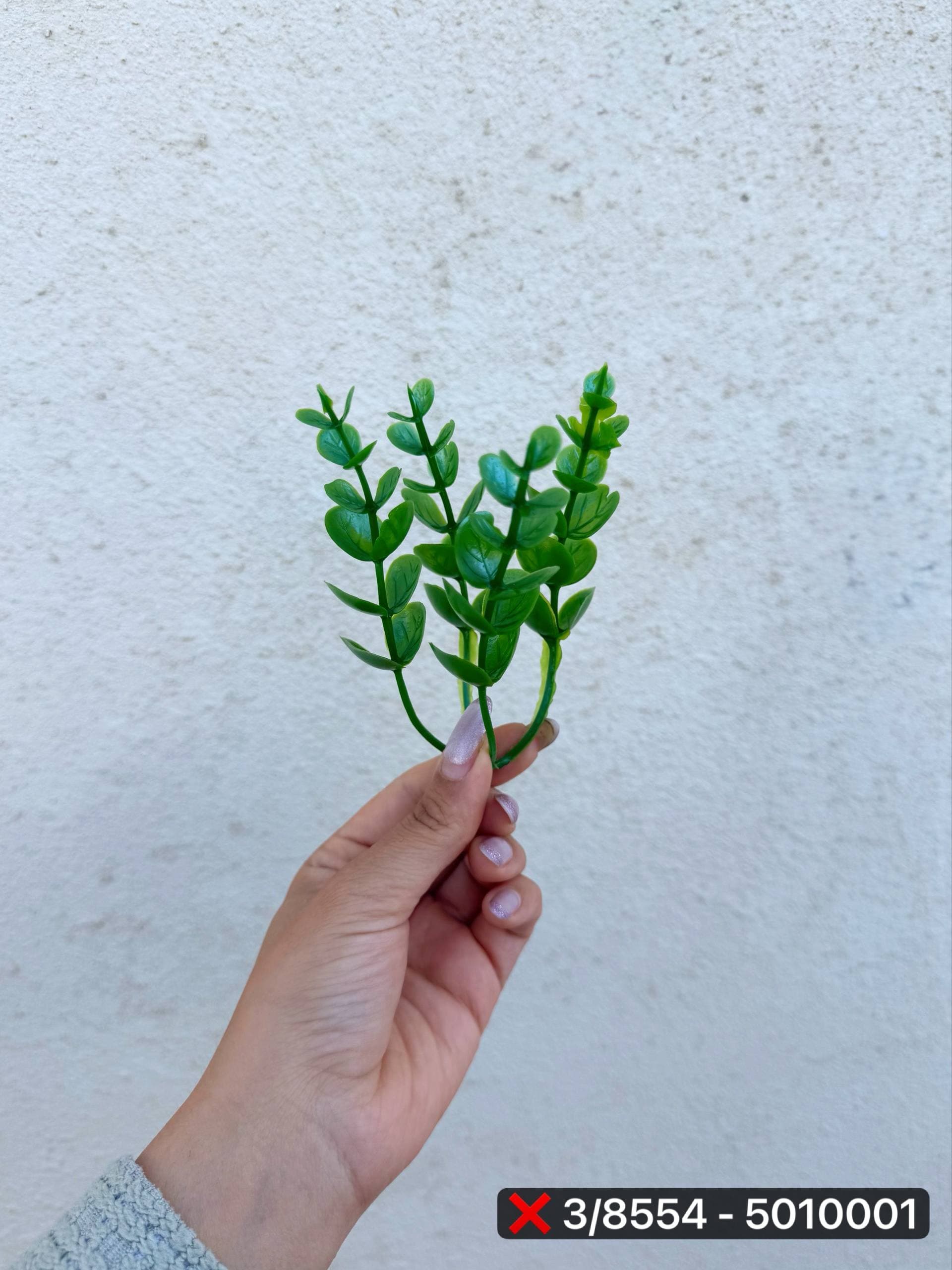شمشاد سبز(پک ۱ کیلویی) — تصویر ۲
