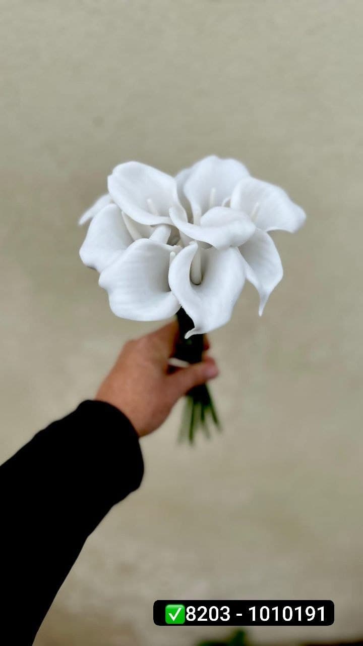 شیپوری لاتکس(شاخه ای )