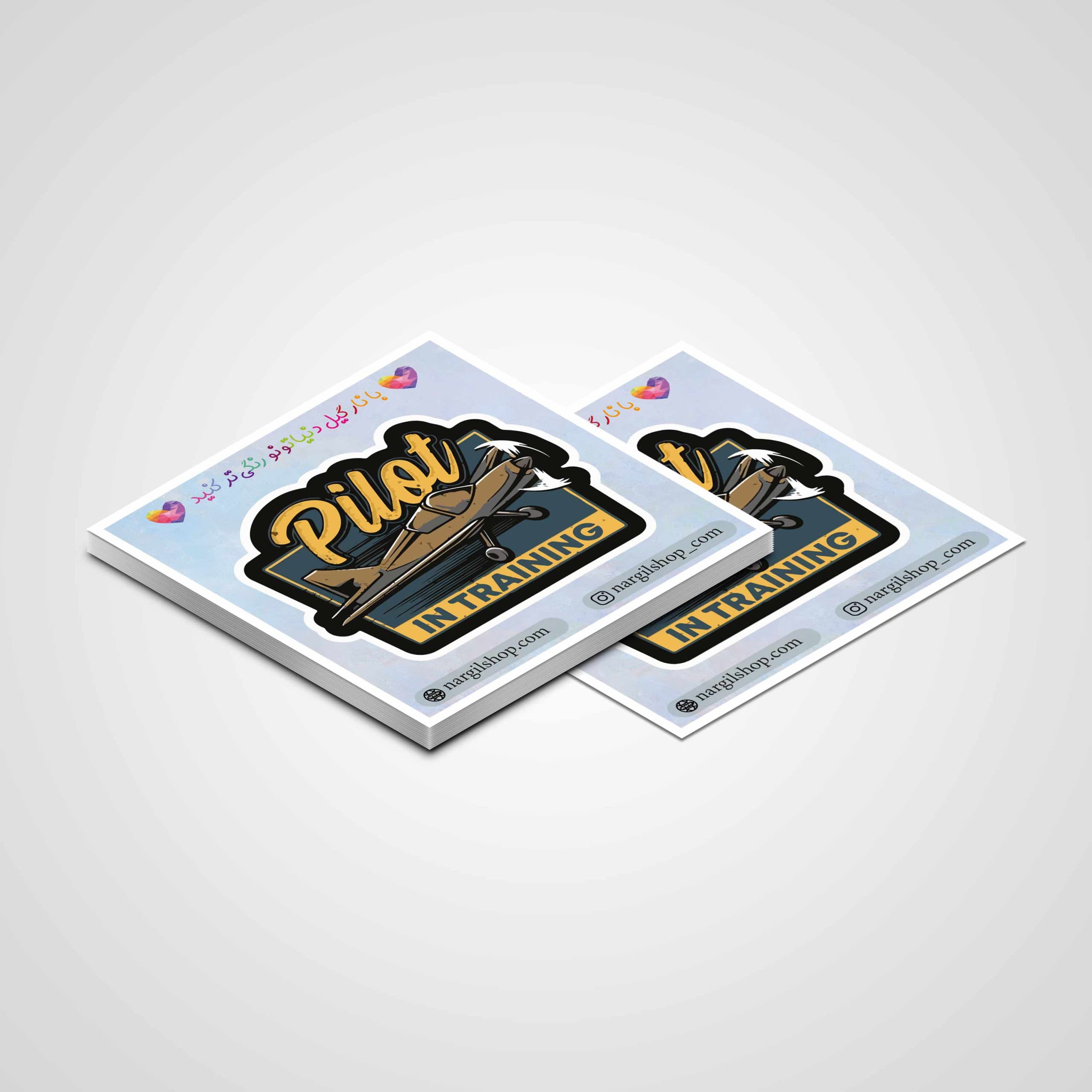 استیکر هوانوردی 15 | aviation sticker 15 — تصویر ۴
