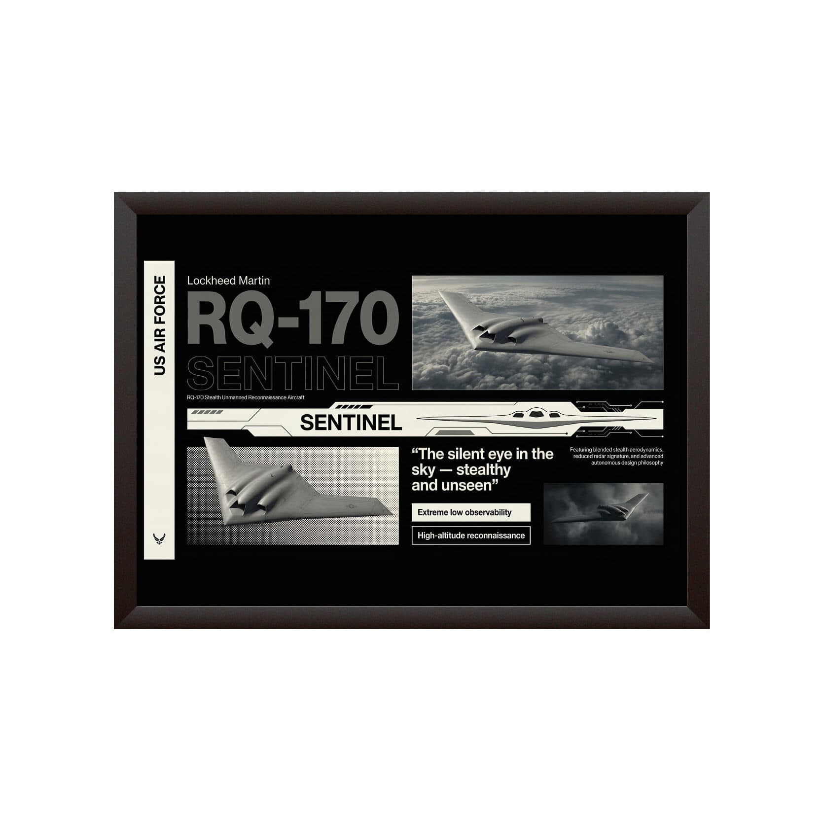 قاب عکس RQ-170 (طرح A) — تصویر ۳