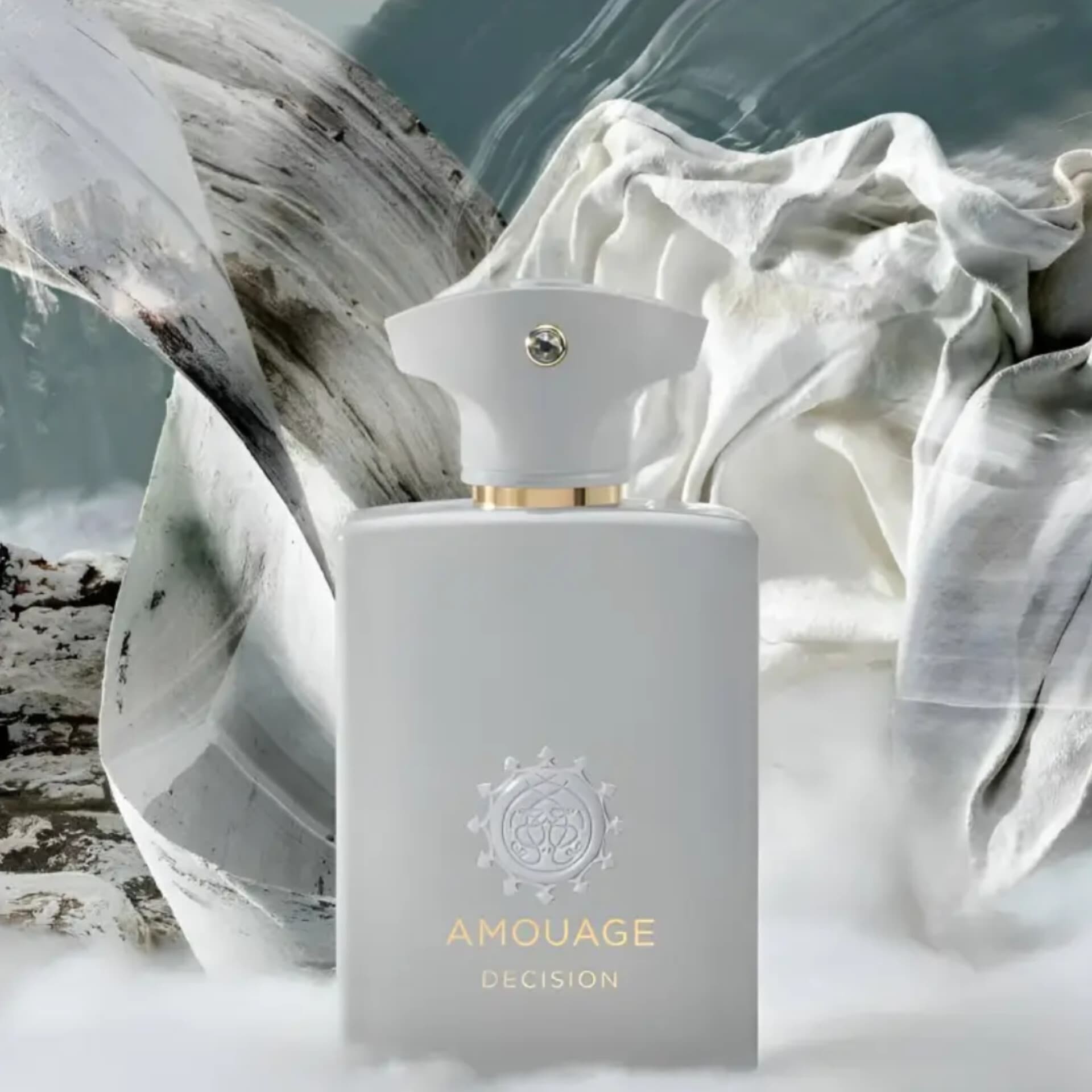 عطر ادکلن آمواج دسیژن مردانه(۱۰۰میل) | Amouage Decision(100ml) — تصویر ۹