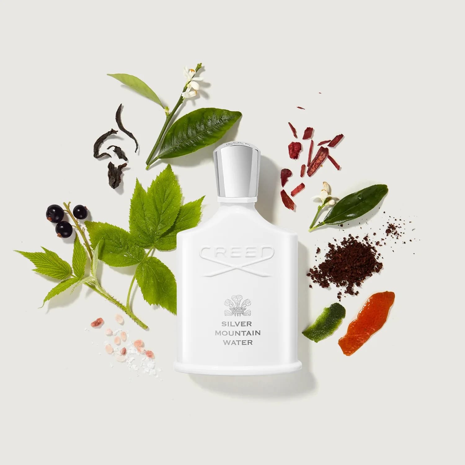 عطر کرید سیلور مانتین عطریانی ۵۰ میل — تصویر ۲