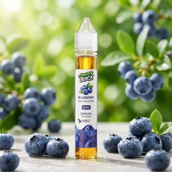 سالت نیکوتین بلوبری Blueberry هانترجویس 30 میل — تصویر ۲