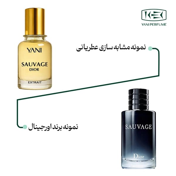 عطر دیور ساواج عطریانی ۵۰ میل — تصویر ۵