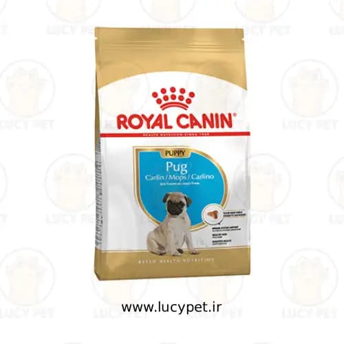 غذای خشک توله سگ نژاد پاگ رویال کنین 1.5 کیلوگرم (Royal Canin Pug Puppy)