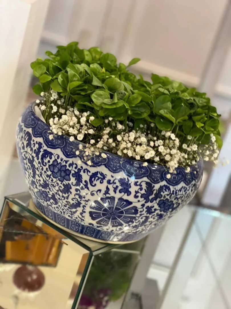 گلدان دهانه برای گیاه طبیعی قطر دهانه کار ۲۵سانت