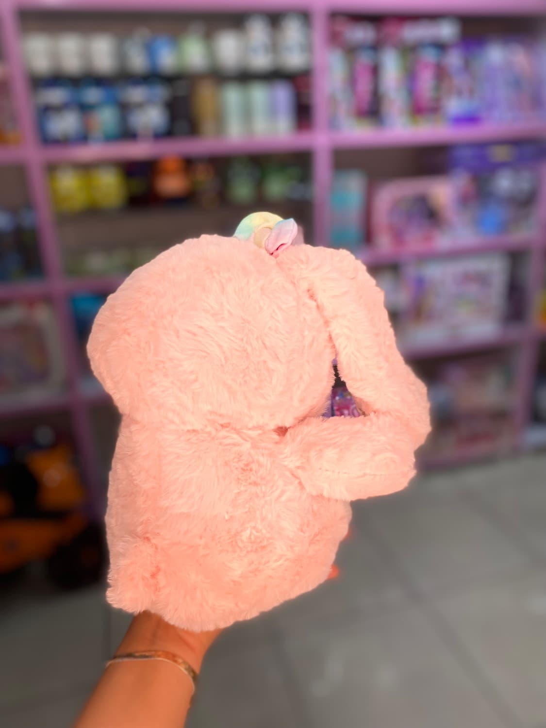 خرگوش گوش رنگی — تصویر ۵