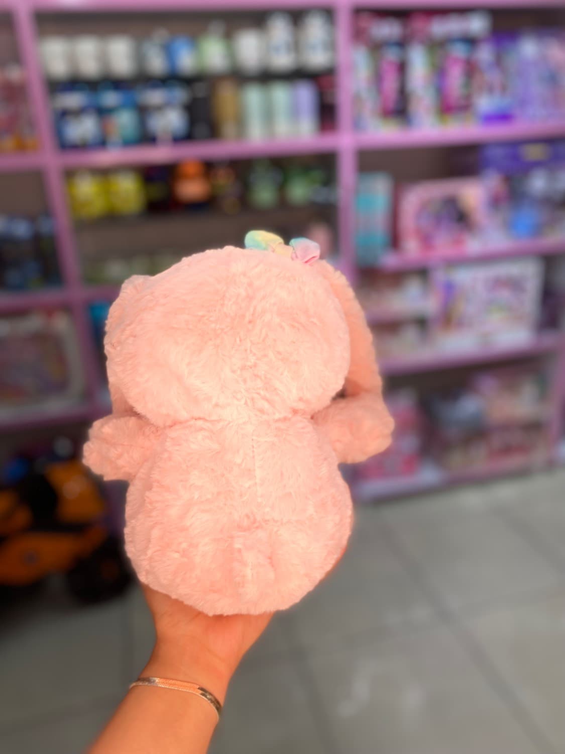خرگوش گوش رنگی — تصویر ۴