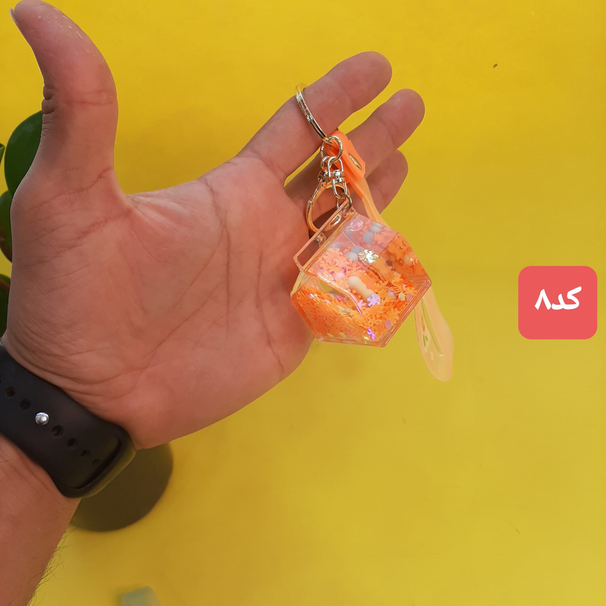 جاکلیدی اکواریومی — تصویر ۹