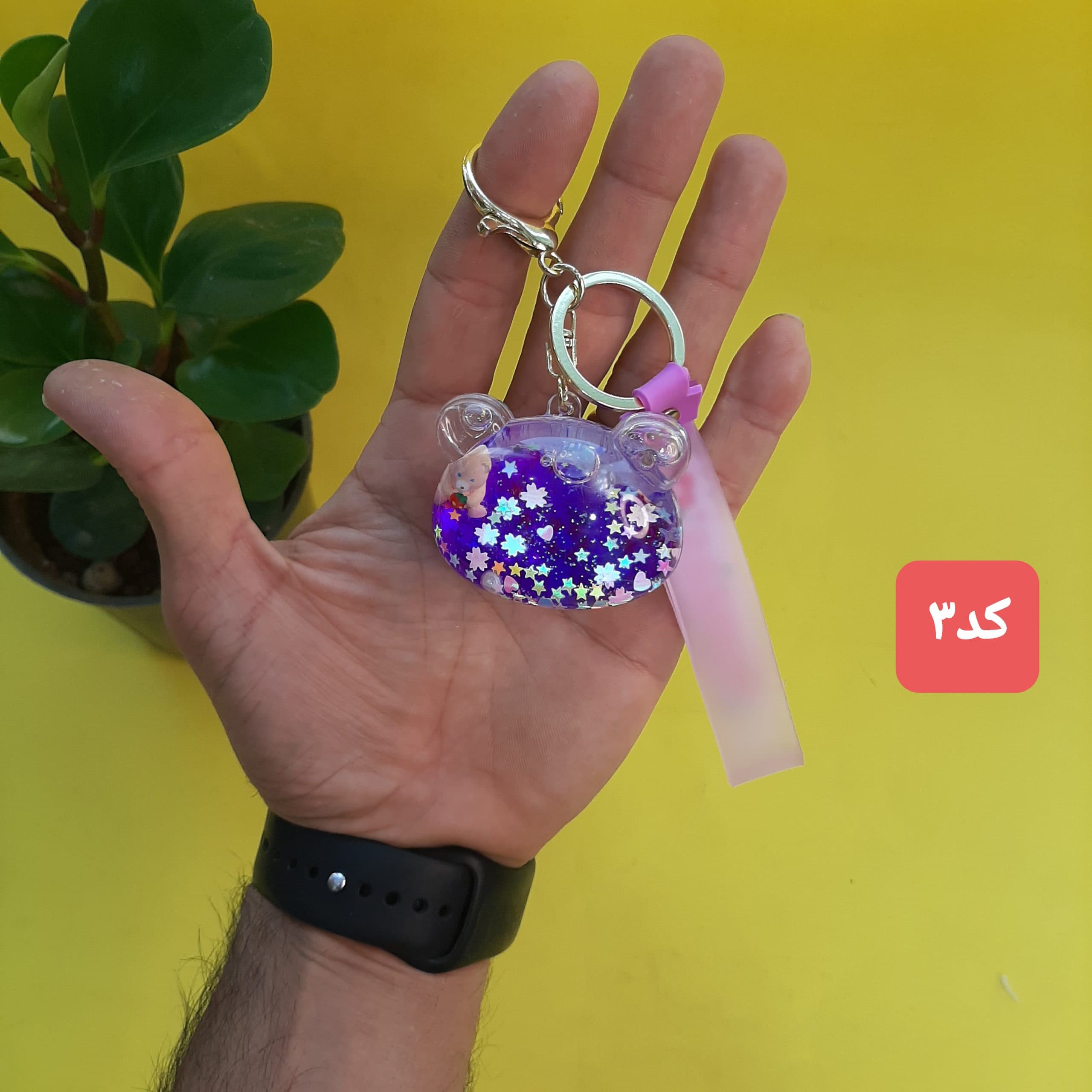 جاکلیدی اکواریومی — تصویر ۷