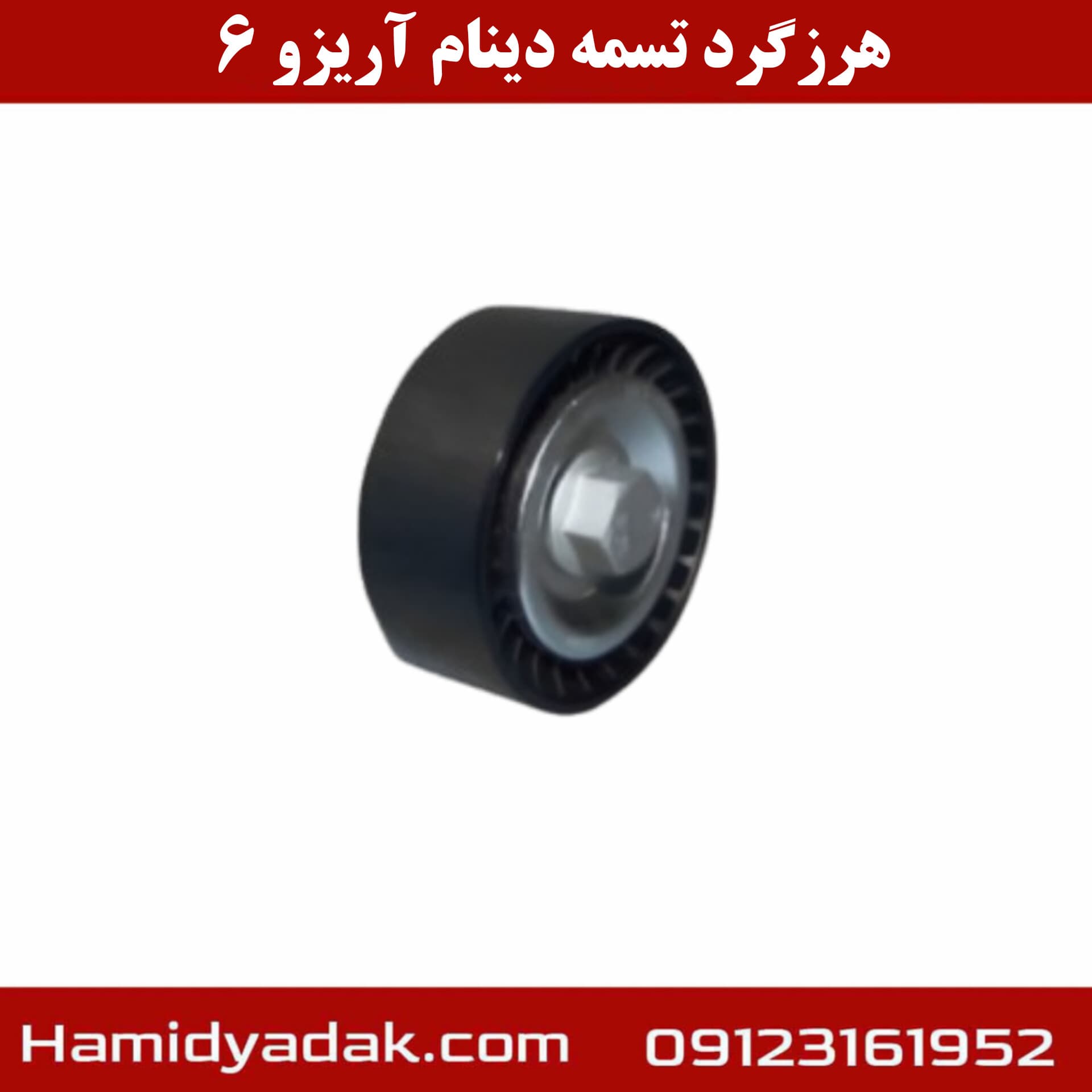 هرزگرد تسمه دینام آریزو6 — تصویر ۲