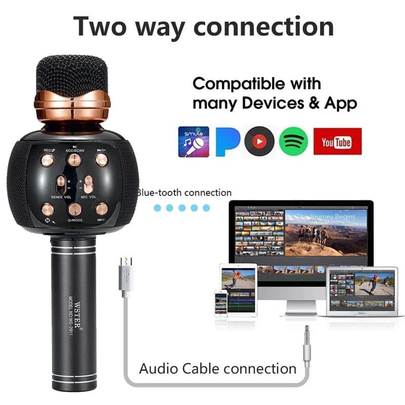 میکروفن اسپیکر وستر مدل WS-2911 — تصویر ۶