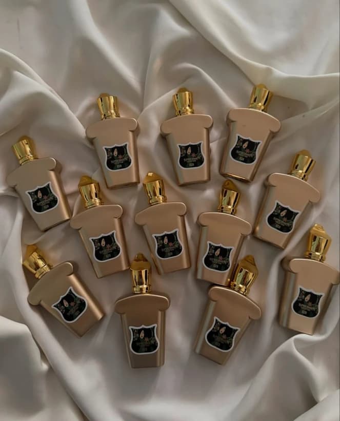 عطر ادکلن کازاموراتی لیرا ۲۵ میل مینی سوپر اسمارت Super Smart Xerjoff Casamorati Lira — تصویر ۱۰