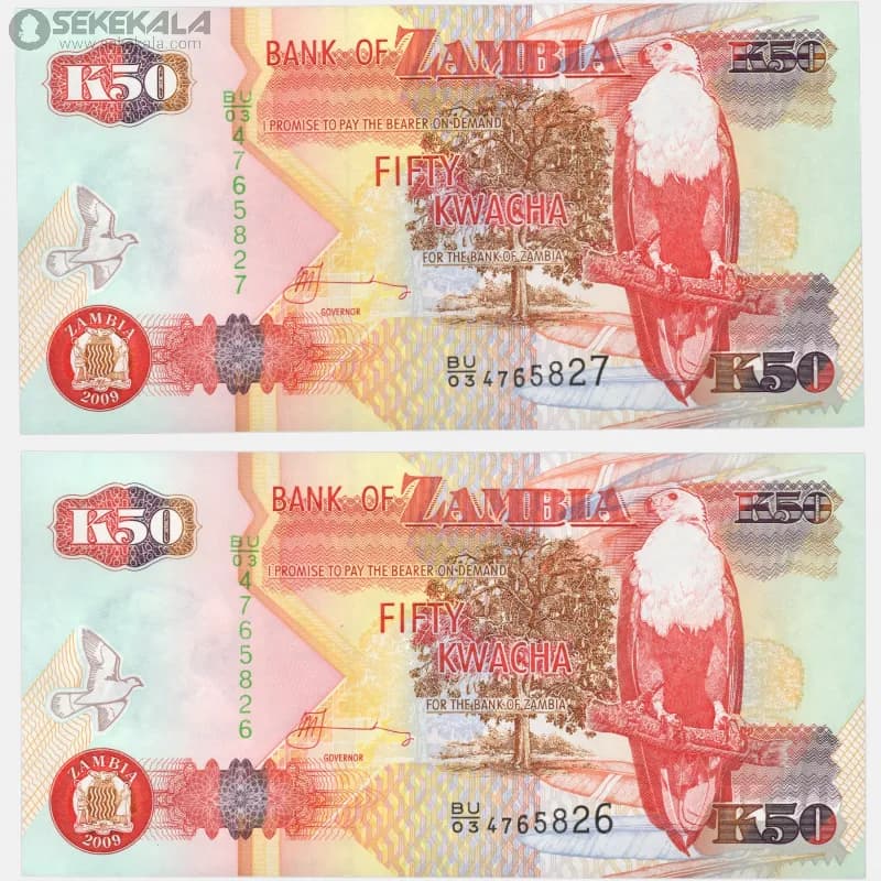جفت اسکناس‌ 50 کواچا پلیمری زامبیا 2009 (جمهوری) — تصویر ۳