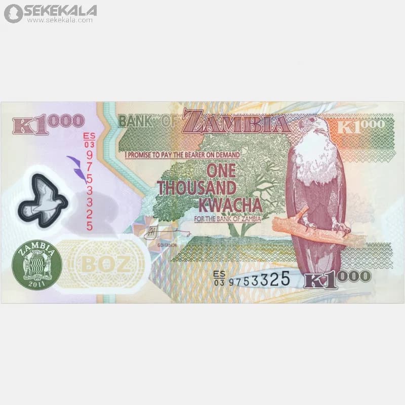 اسکناس 1000 کواچا پلیمری زامبیا 2011 (جمهوری)