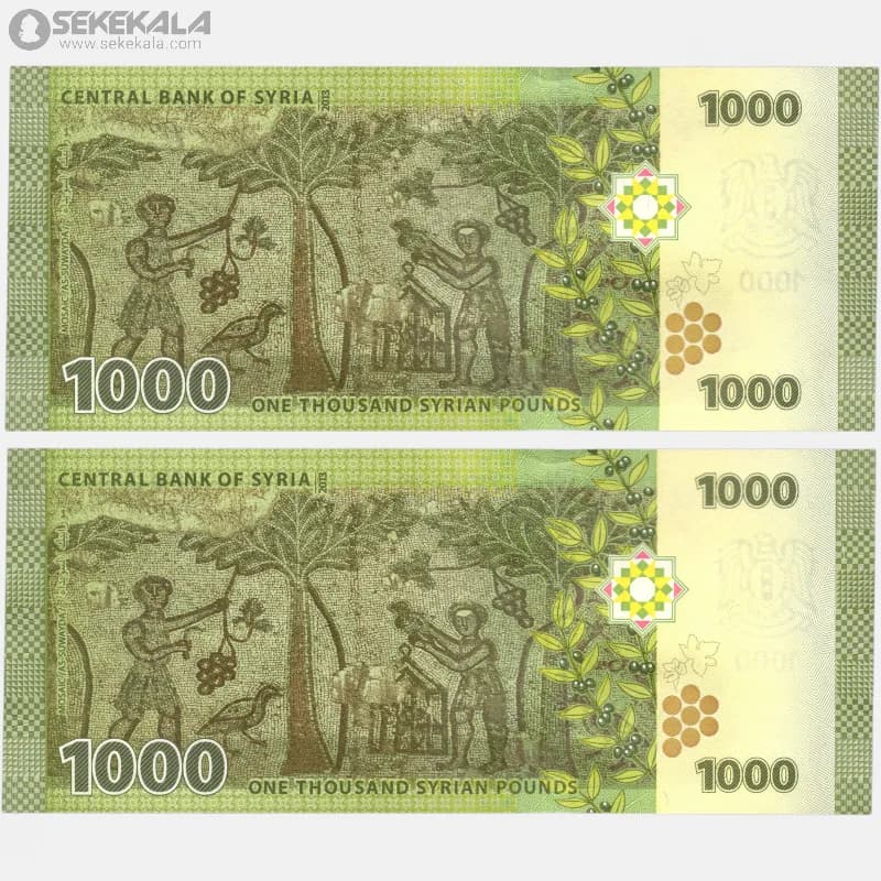 جفت اسکناس‌ 1000 لیره سوریه 2013 (جمهوری) — تصویر ۴