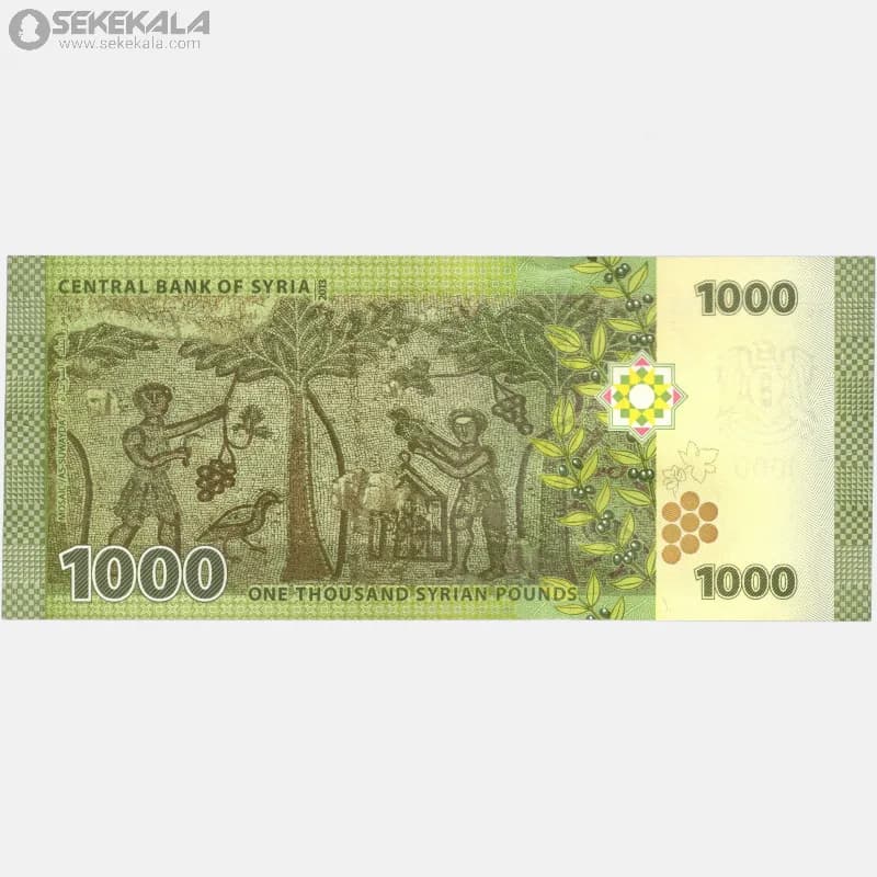 اسکناس‌ 1000 لیره سوریه 2013 (جمهوری) — تصویر ۲