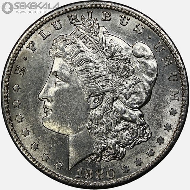 سکه 1 دلار آمریکا 1880 S (مورگان ـ Morgan) — تصویر ۳