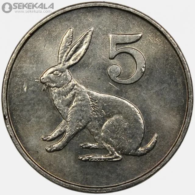 سکه 5 سنت کمیاب زیمباوه 1980