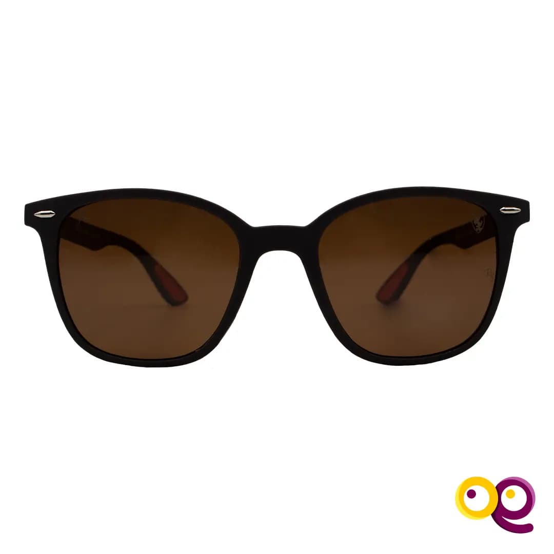 عینک آفتابی مردانه ریبن 1067 | RAY BAN P — تصویر ۶