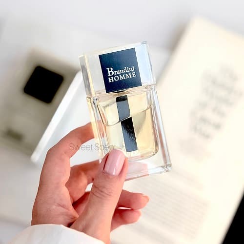 عطر ادکلن مینی دیور هوم (نقره‌ای) برندینی | Dior Homme (Brandini) حجم 33 میل(شرکتی) — تصویر ۴