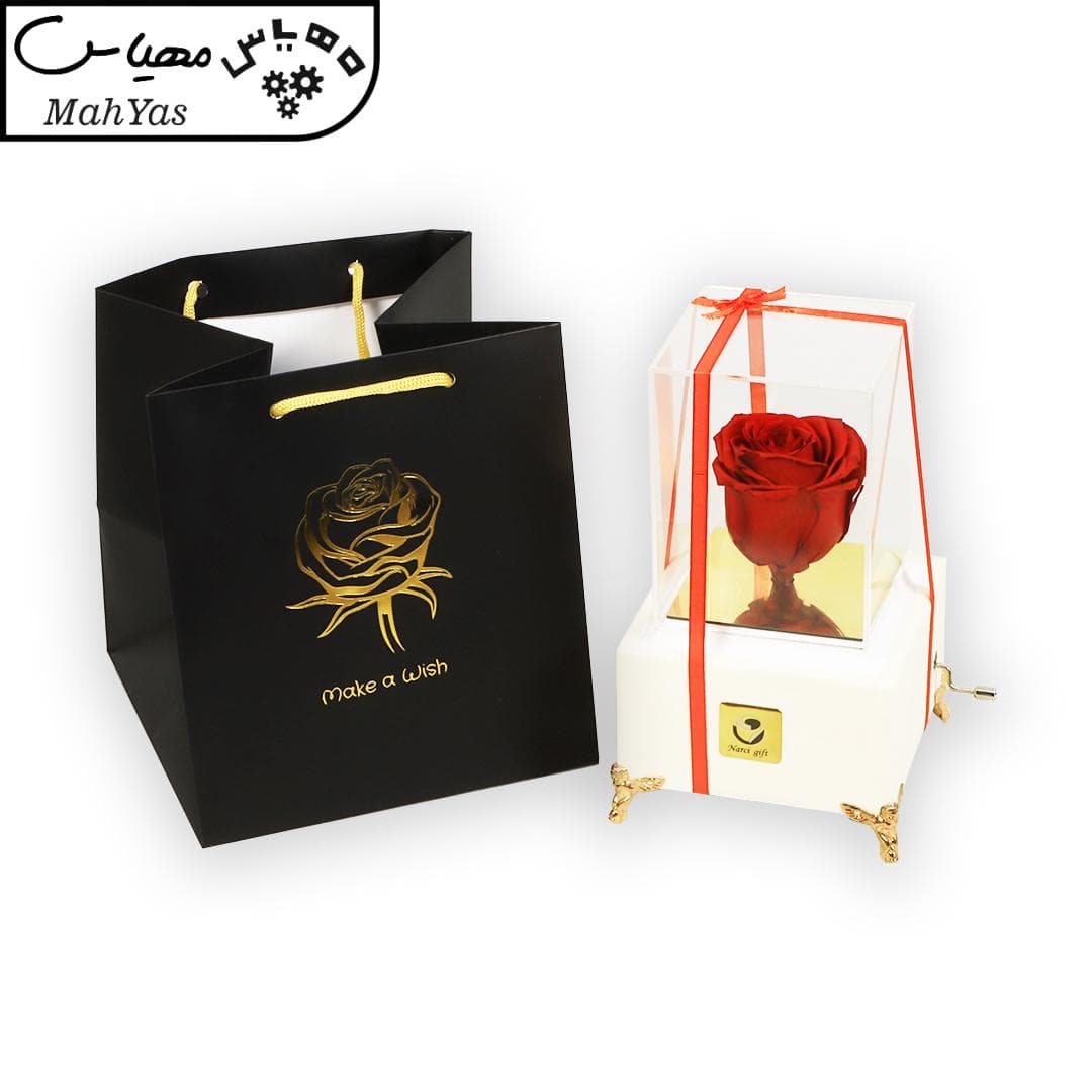 گل رز جاودان نارسیس گیفت مدل ملودی های عاشقانه205 — تصویر ۵