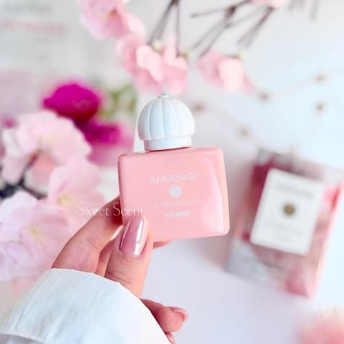 عطر ادکلن مینی آمواج بلوسوم لاو (اسکلاره) | Amouage Blossom Love (Sclaree) حجم 30 میل(شرکتی) — تصویر ۵