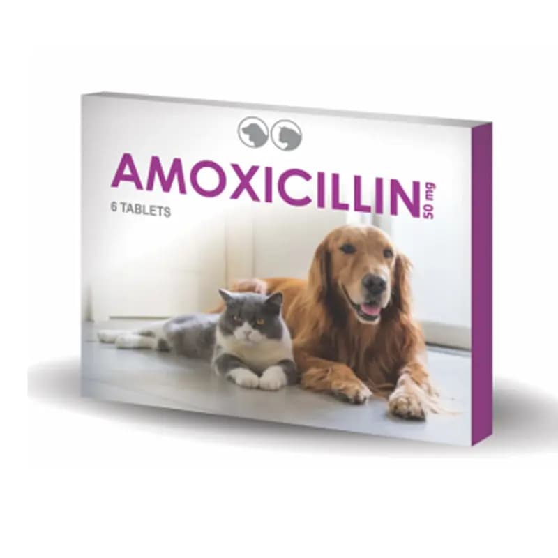 آموکسی سیلین 50 میلی گرمی Amoxicillin دامی ایران