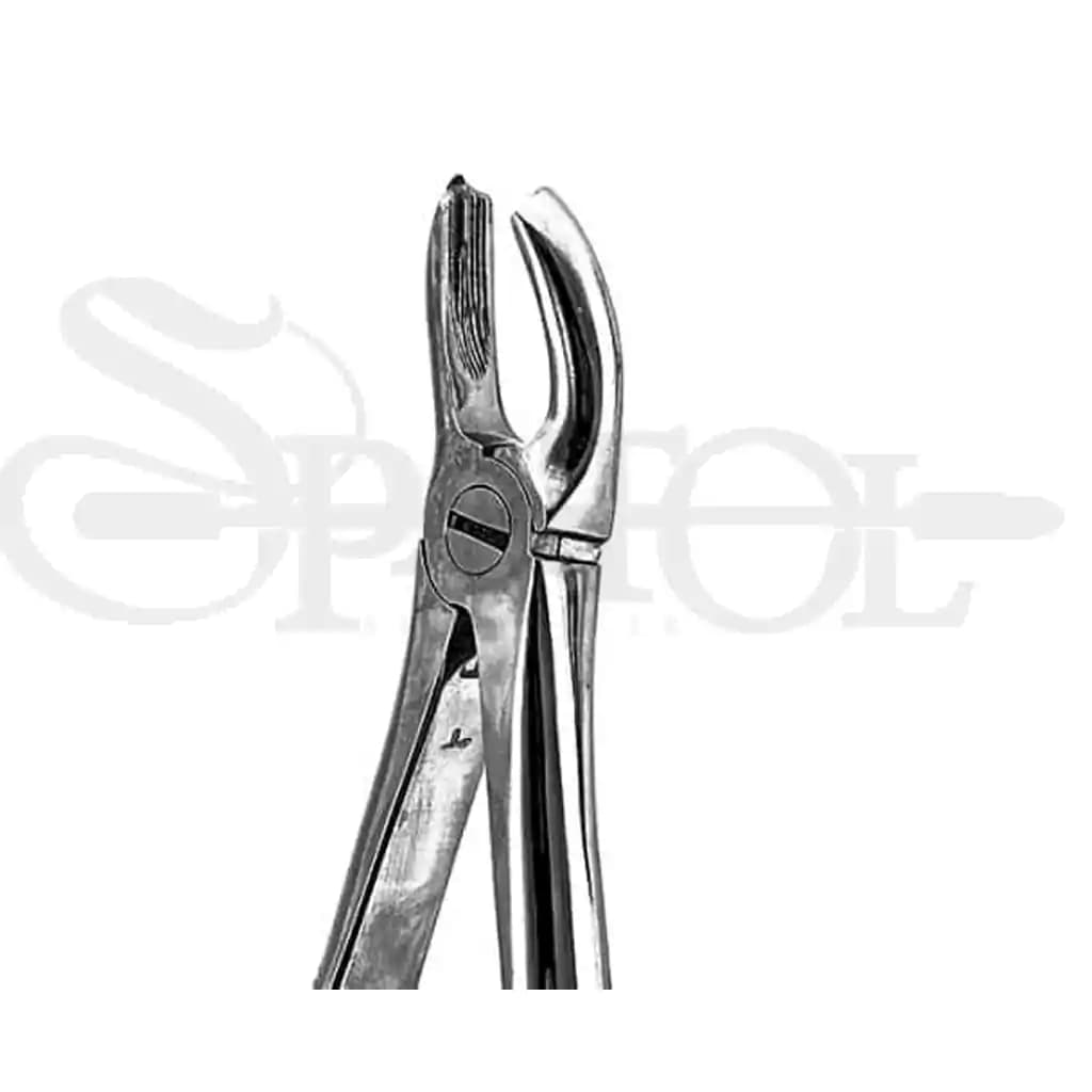 فورسپس مولر بالا چپ و راست پیشرو Pishro Dent — تصویر ۴