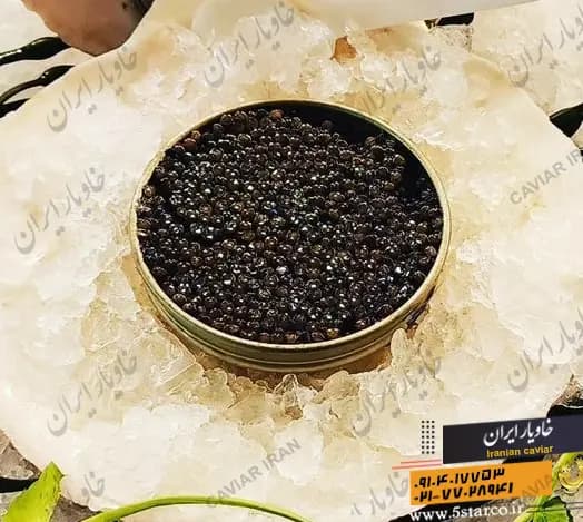 خاویار بری — تصویر ۴